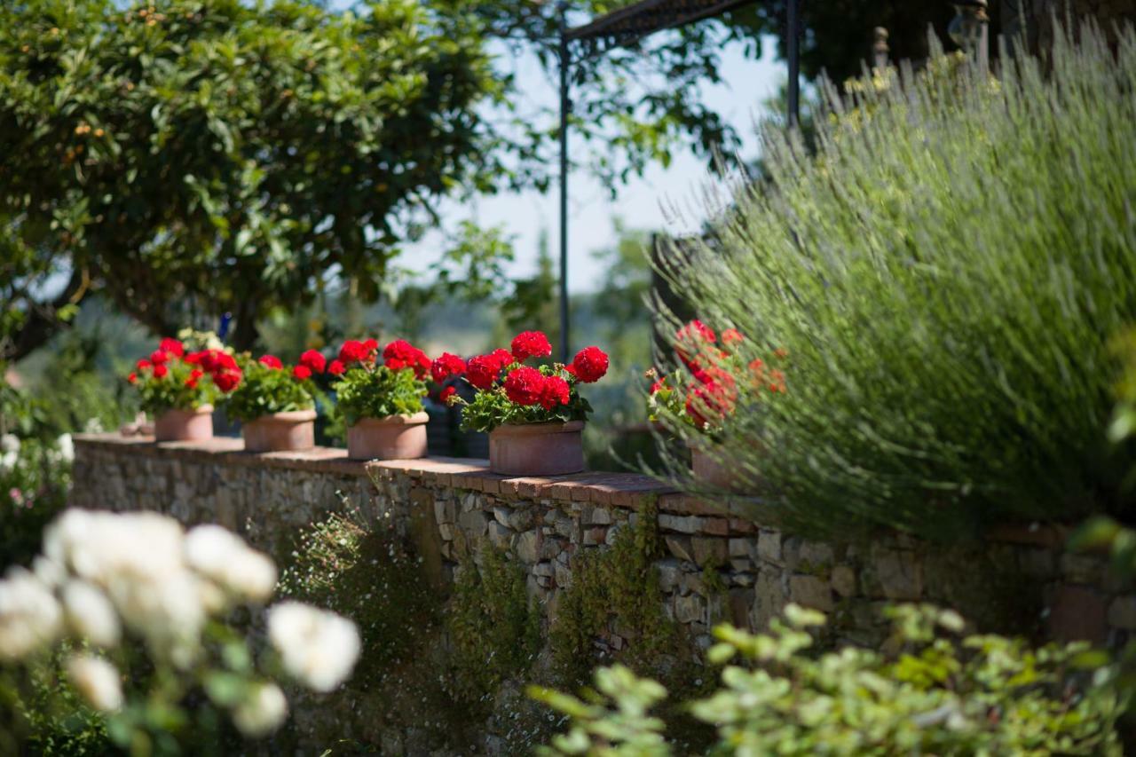 Bed and Breakfast Ancora del Chianti Greve in Chianti Esterno foto